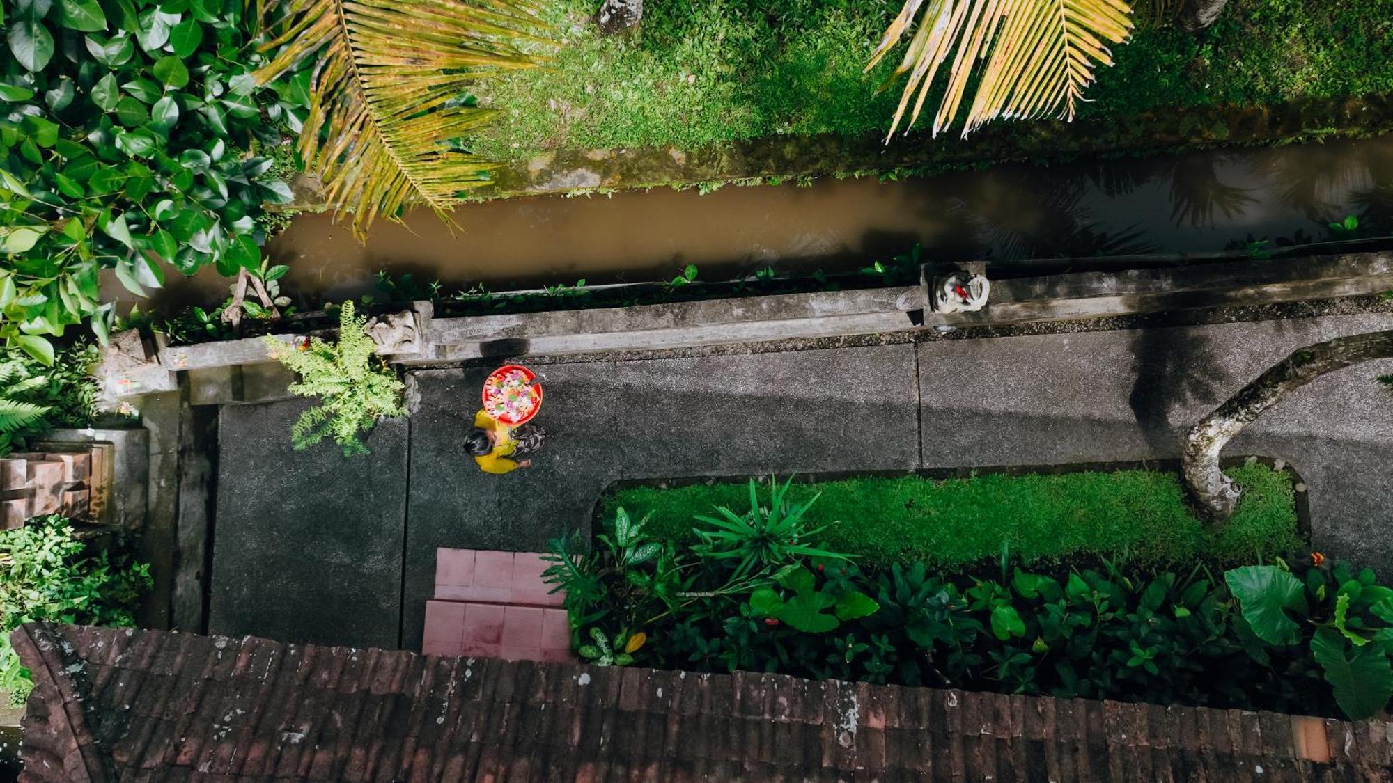 Jati Home Stay Ubud  Exterior photo